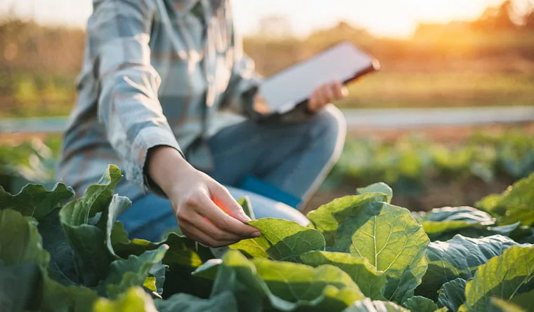 precision crop analysis