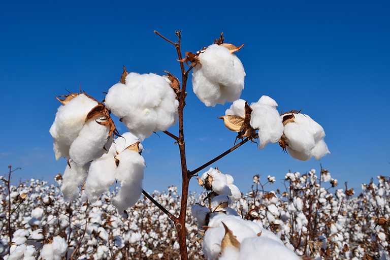Macon County Courthouse